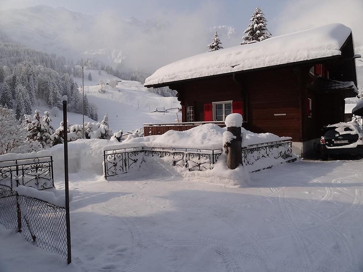 Apartment Chalet Spannortblick Енгелберг Екстериор снимка